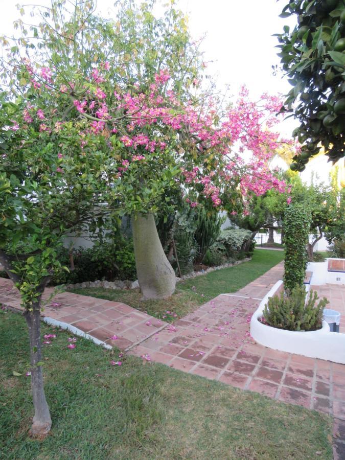 Apartamento bien situado en Marbella Exterior foto